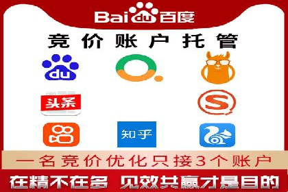 SEM专员的角色与成功案例解析